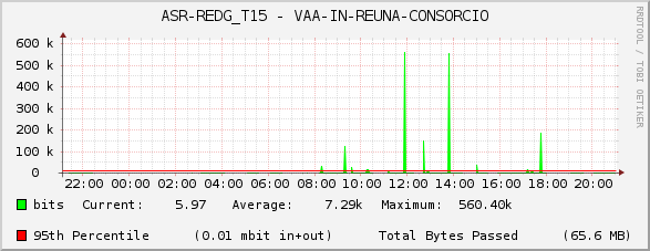 ASR-REDG_T15 - VAA-IN-REUNA-CONSORCIO