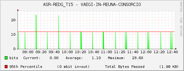 ASR-REDG_T15 - VAEGI-IN-REUNA-CONSORCIO