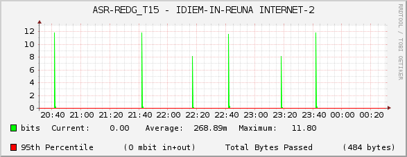 ASR-REDG_T15 - IDIEM-IN-REUNA INTERNET-2