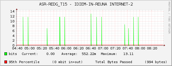 ASR-REDG_T15 - IDIEM-IN-REUNA INTERNET-2