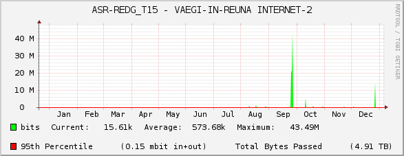 ASR-REDG_T15 - VAEGI-IN-REUNA INTERNET-2