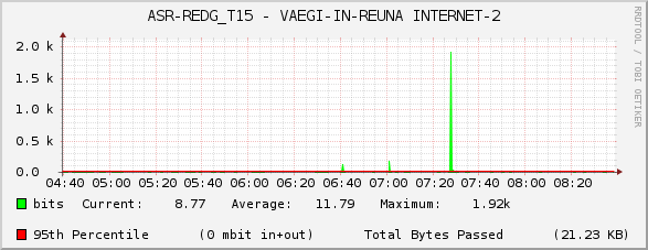 ASR-REDG_T15 - VAEGI-IN-REUNA INTERNET-2