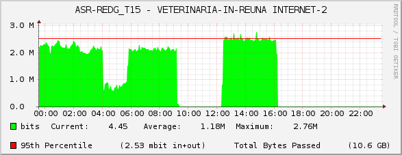 ASR-REDG_T15 - VETERINARIA-IN-REUNA INTERNET-2