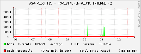 ASR-REDG_T15 - FORESTAL-IN-REUNA INTERNET-2